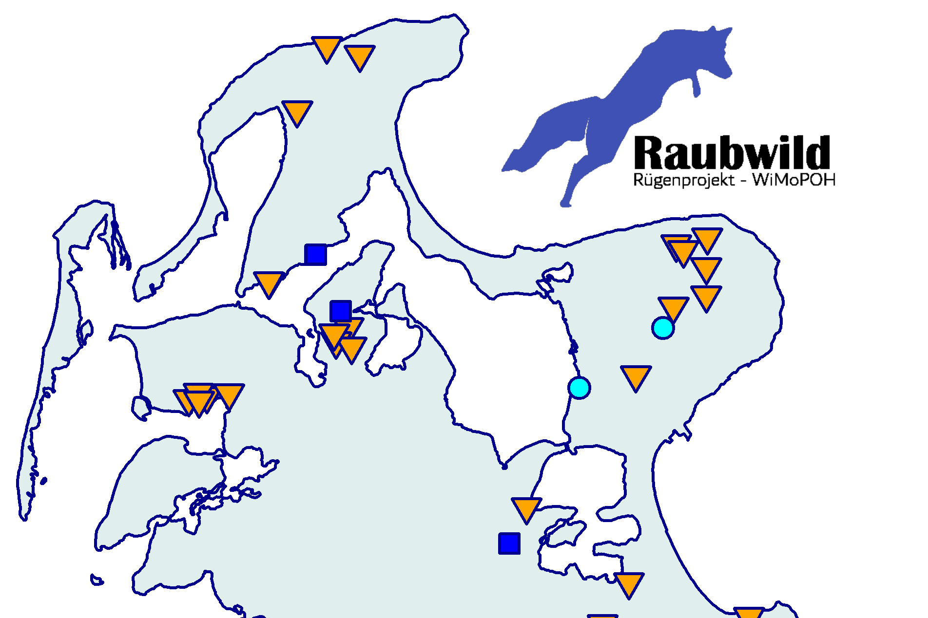 Vielversprechender Start der Raubwild-Studie auf Rügen