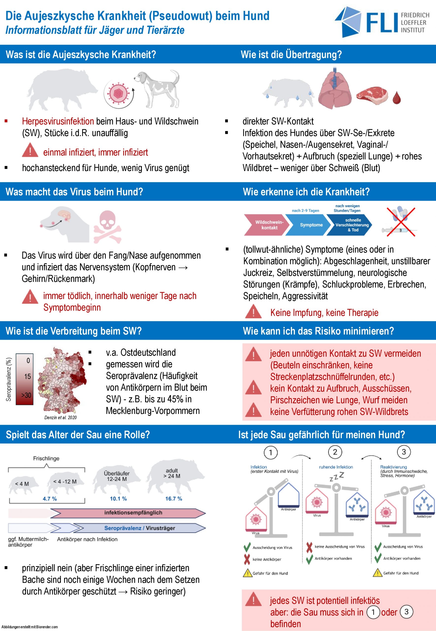 Merkblatt zur Aujeszkyschen Krankheit (Pseudowut) beim Hund