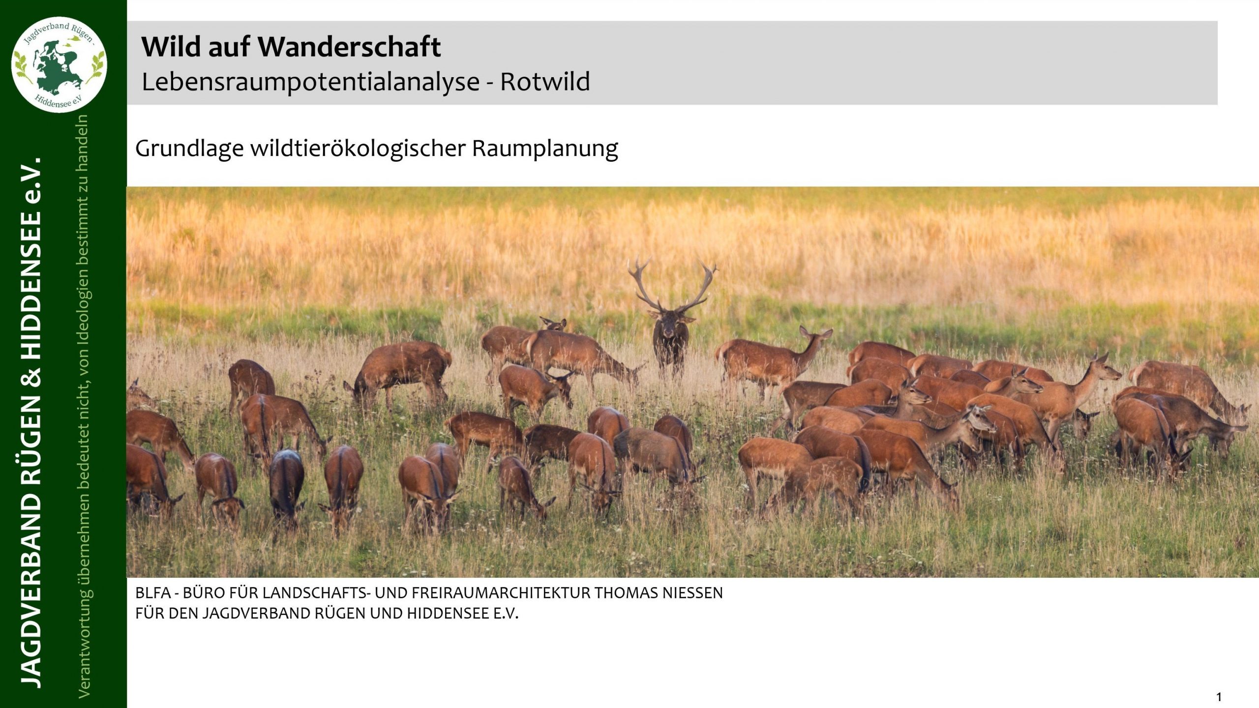 Vorstellung erster Ergebnisse des Forschungsprojektes „Wild auf Wanderschaft“