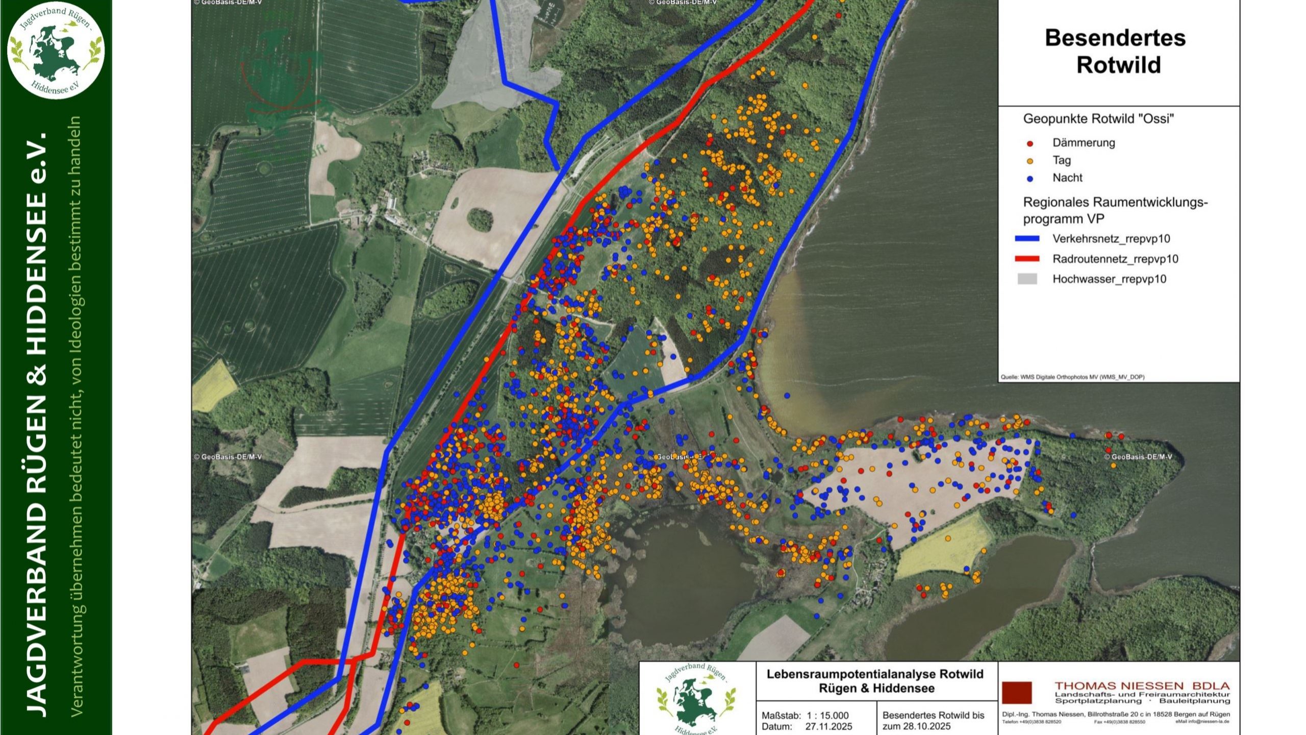 Rotwild in Raum und Zeit