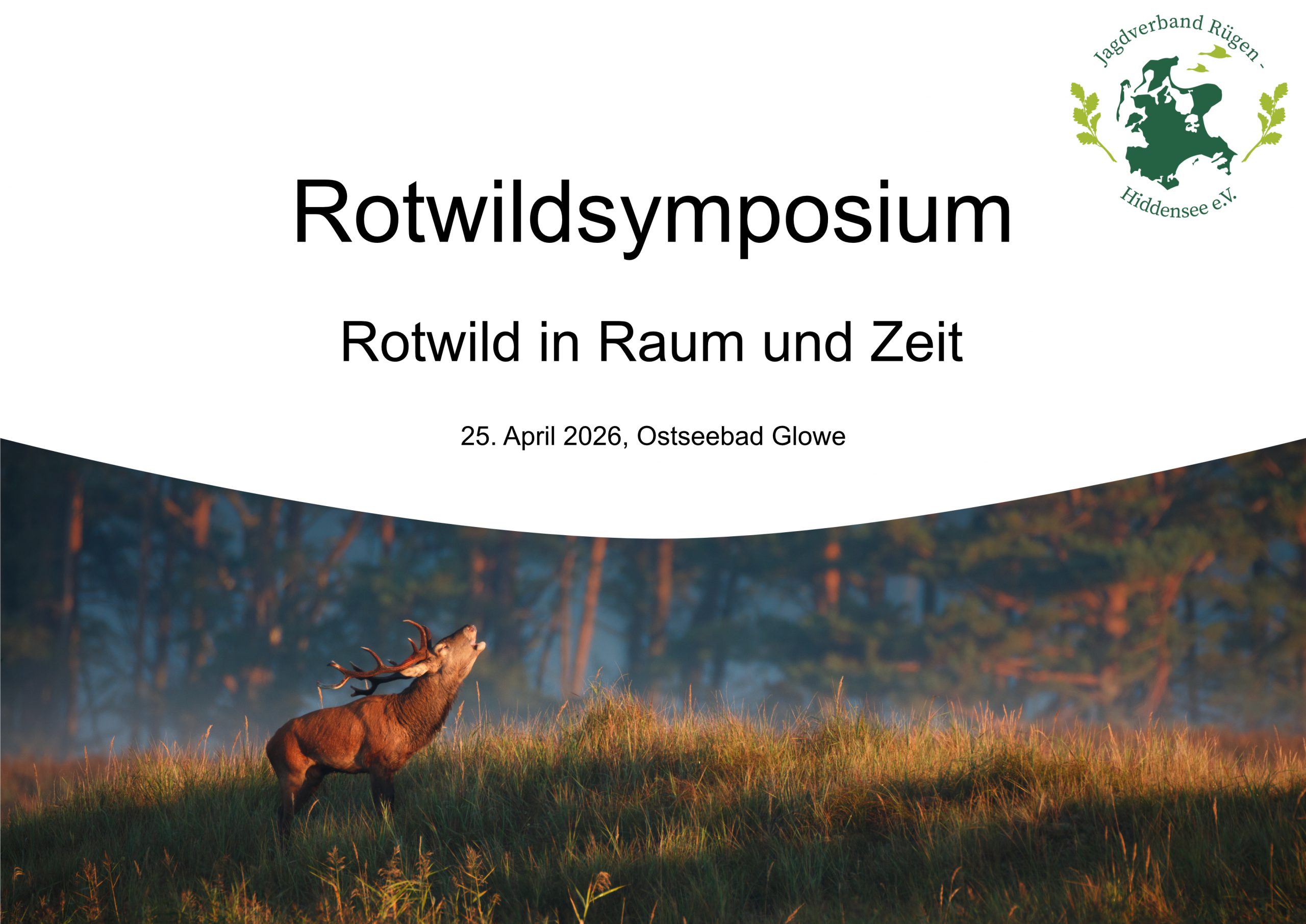 Norddeutsches Rotwild-Symposium auf Rügen: Regionale Forschung schafft konkreten Nutzen für Gesellschaft, Tourismus und Naturschutz