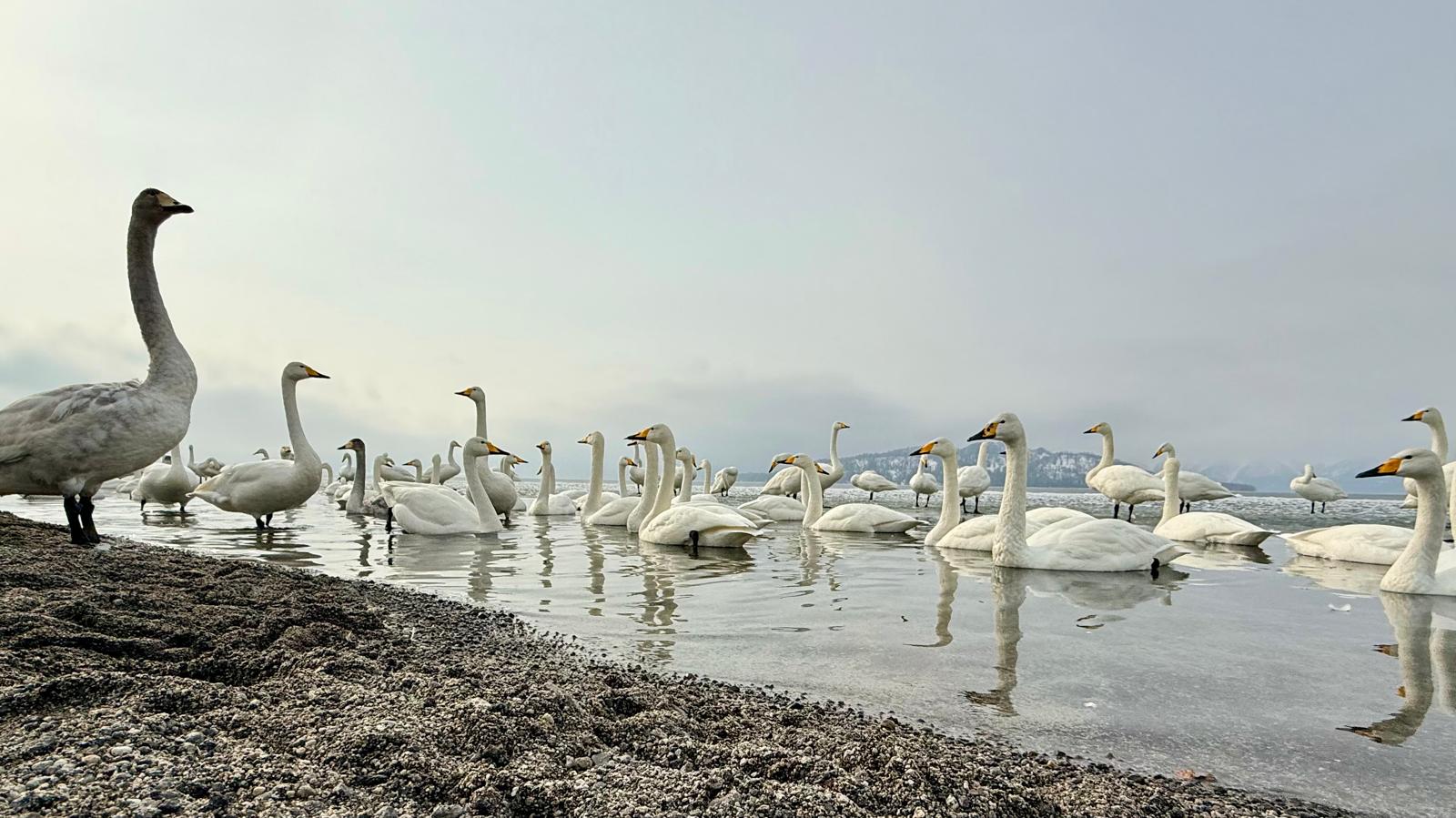 Wissen um Zusammenhänge ermöglicht kompetente Entscheidungen